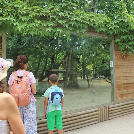 Letizia Apartman Lignano Sabbiadoro Kültér fotó